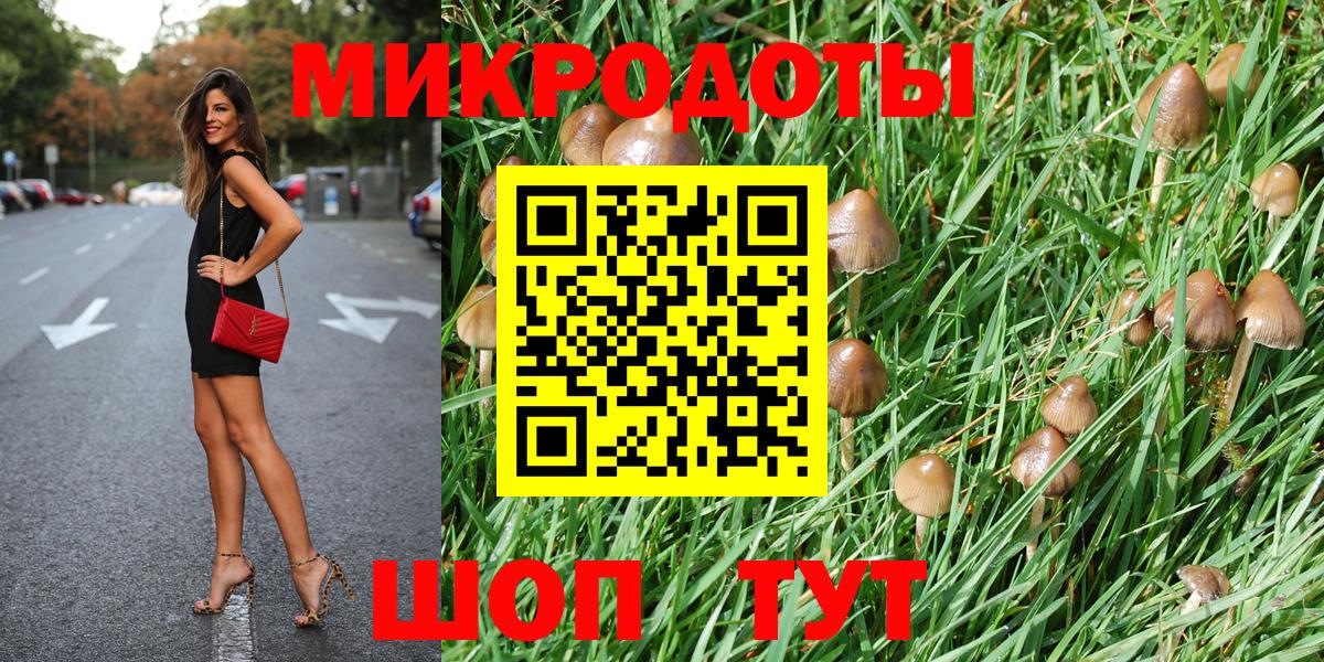 Саранск  Псилоцибиновые грибы мицелий  что такое наркотик  Вход с VPN 